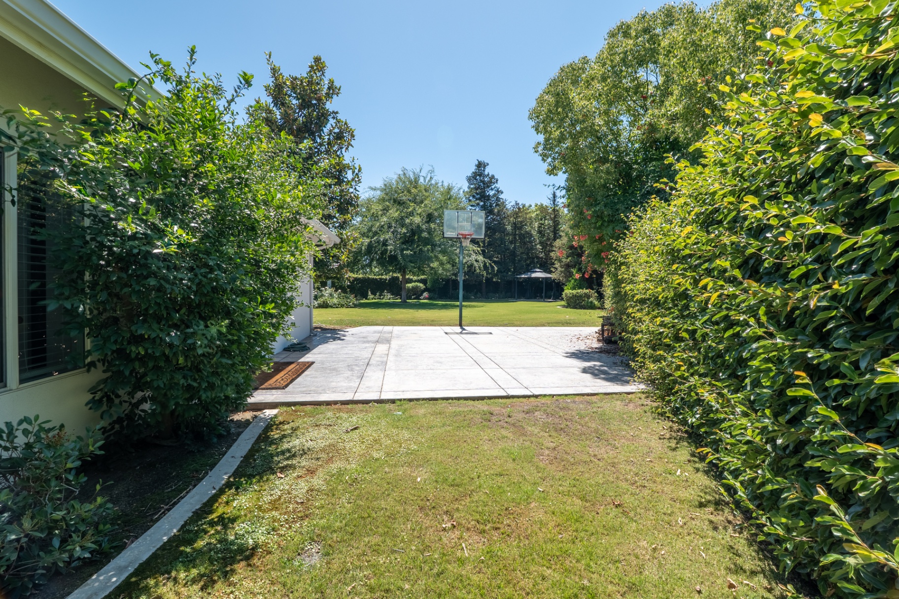 2911 Ragland Ct — 19-basketball-lawn-view.jpg