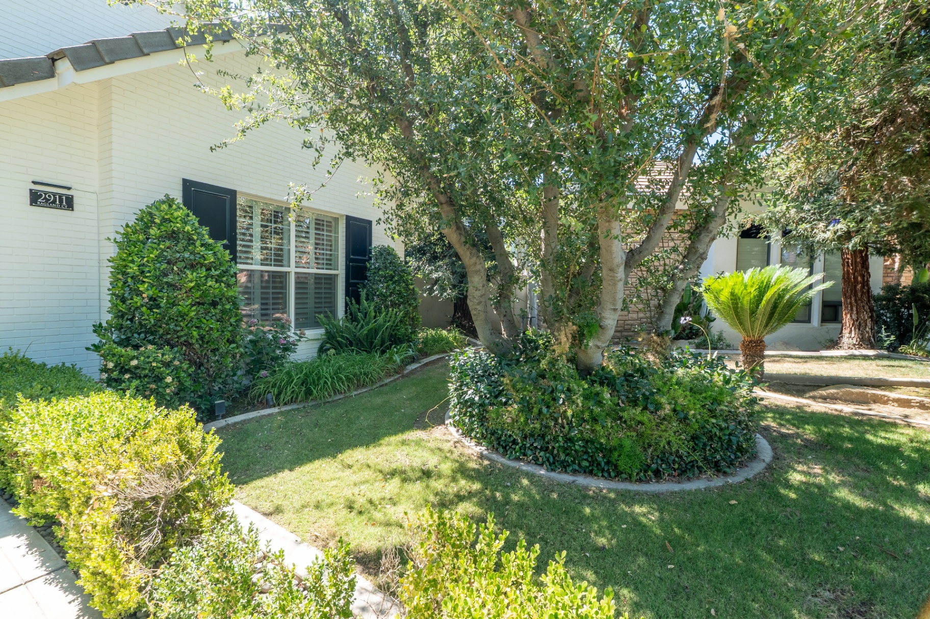 2911 Ragland Ct — 07-front-yard.jpg